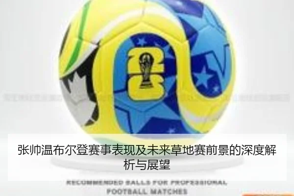 张帅温布尔登赛事表现及未来草地赛前景的深度解析与展望