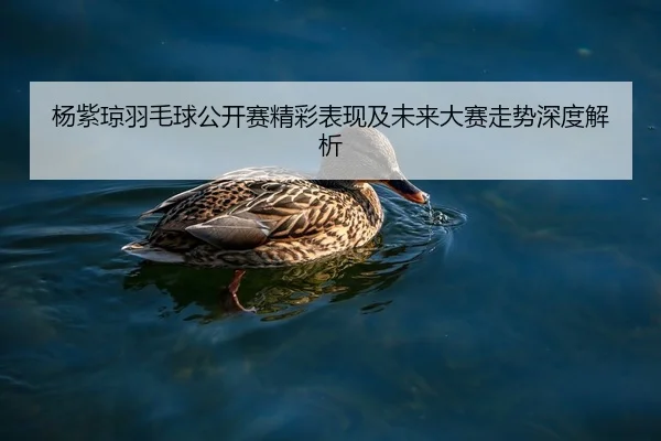 杨紫琼羽毛球公开赛精彩表现及未来大赛走势深度解析